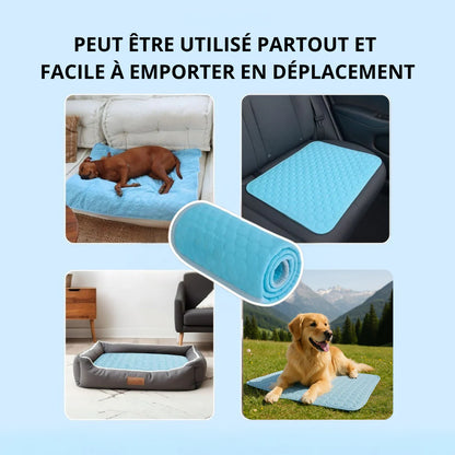Chilloo - #1 Tapis Rafraîchissant pour animaux en France