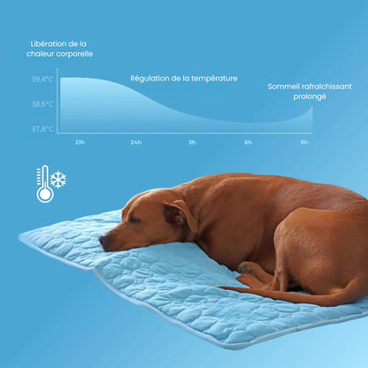 Chilloo - #1 Tapis Rafraîchissant pour animaux en France