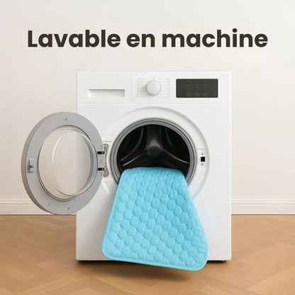 Chilloo - #1 Tapis Rafraîchissant pour animaux en France