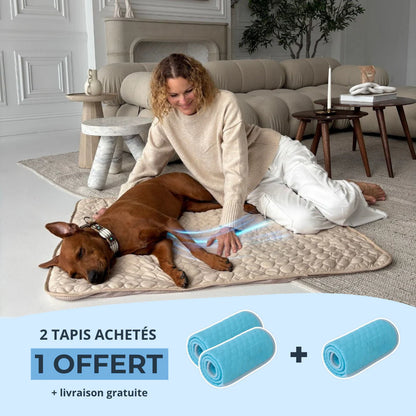 Chilloo - #1 Tapis Rafraîchissant pour animaux en France