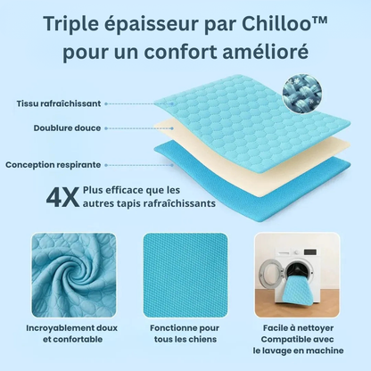 Chilloo - #1 Tapis Rafraîchissant pour animaux en France