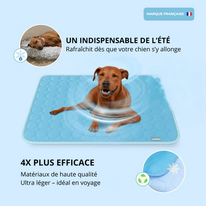 Chilloo - #1 Tapis Rafraîchissant pour animaux en France