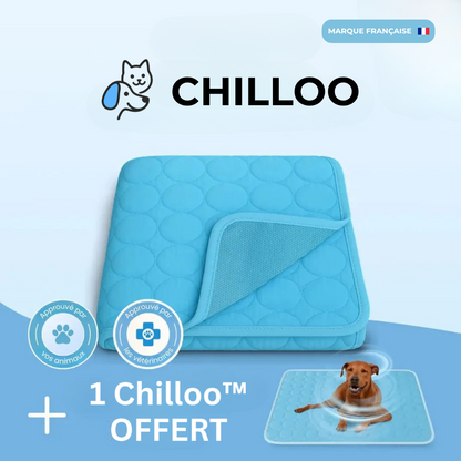 Chilloo - #1 Tapis Rafraîchissant pour animaux en France