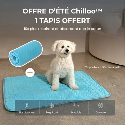 Chilloo - #1 Tapis Rafraîchissant pour animaux en France