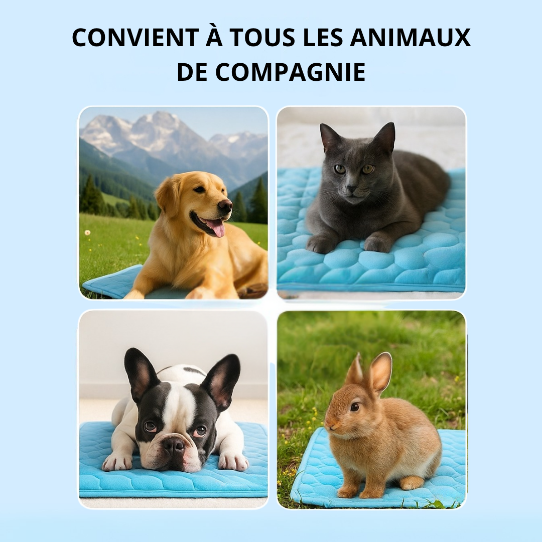 Chilloo - #1 Tapis Rafraîchissant pour animaux en France