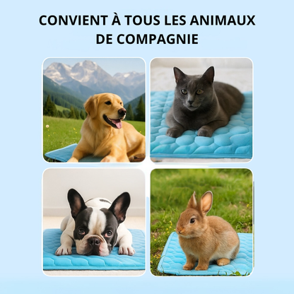Chilloo - #1 Tapis Rafraîchissant pour animaux en France